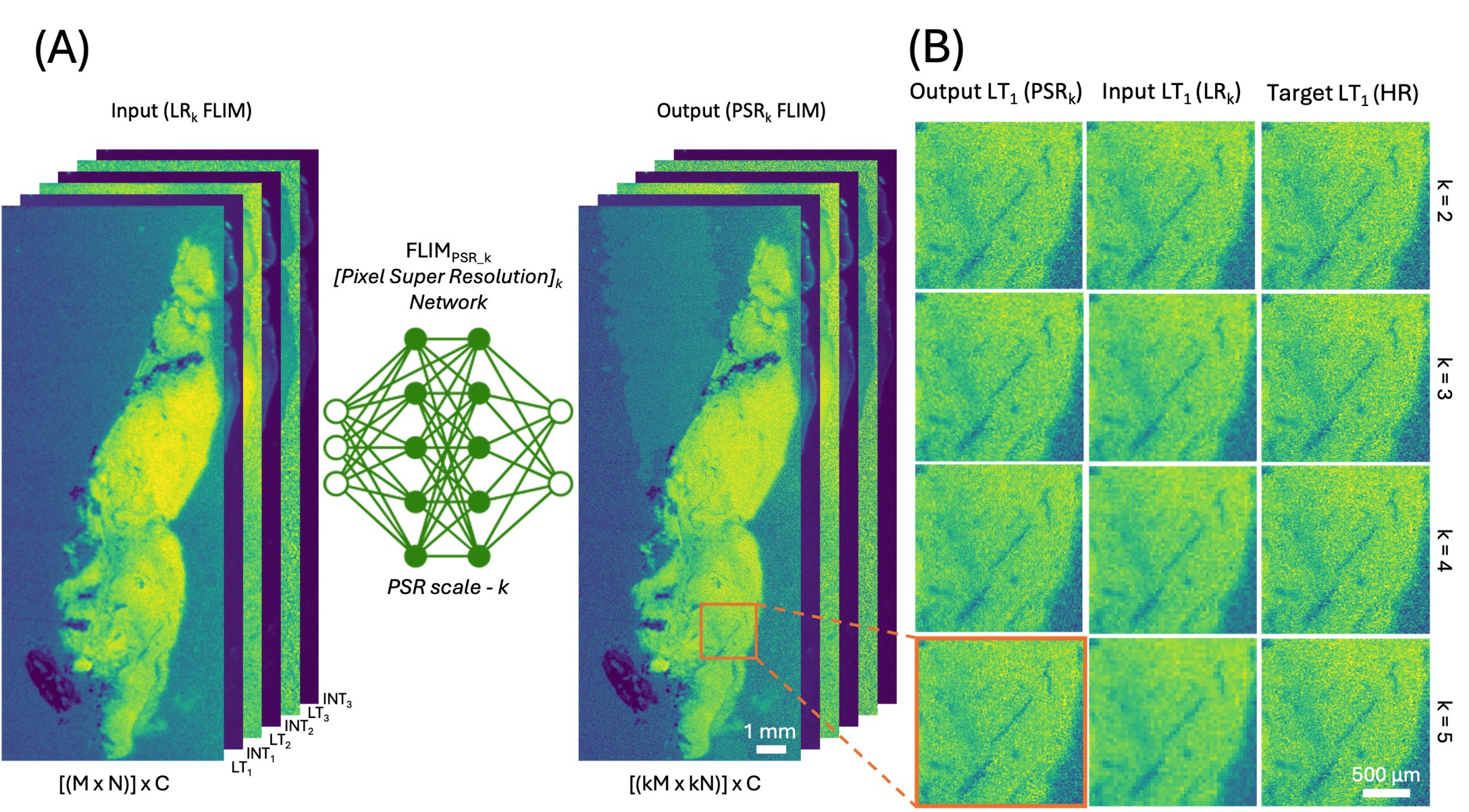 Class-Spec-NN